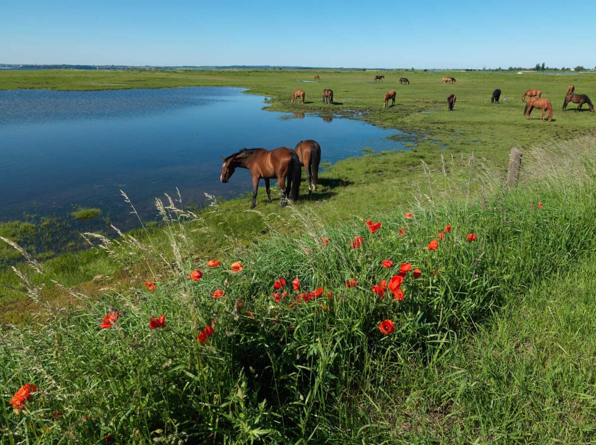 Inselhaeuser Kaltenhof Inselhaus Poel 1 外观 照片