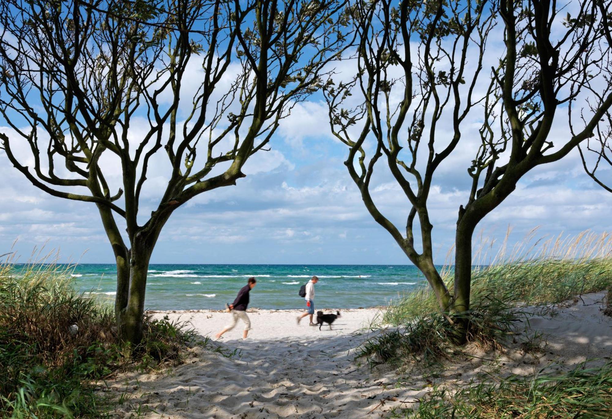 Inselhaeuser Kaltenhof Inselhaus Poel 1 外观 照片